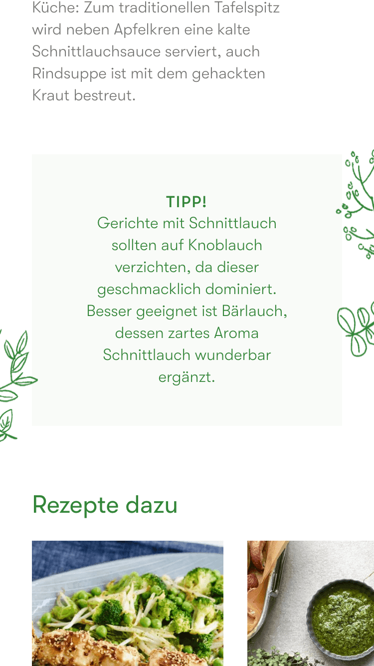 kotanyi-discover-chives-2-edit