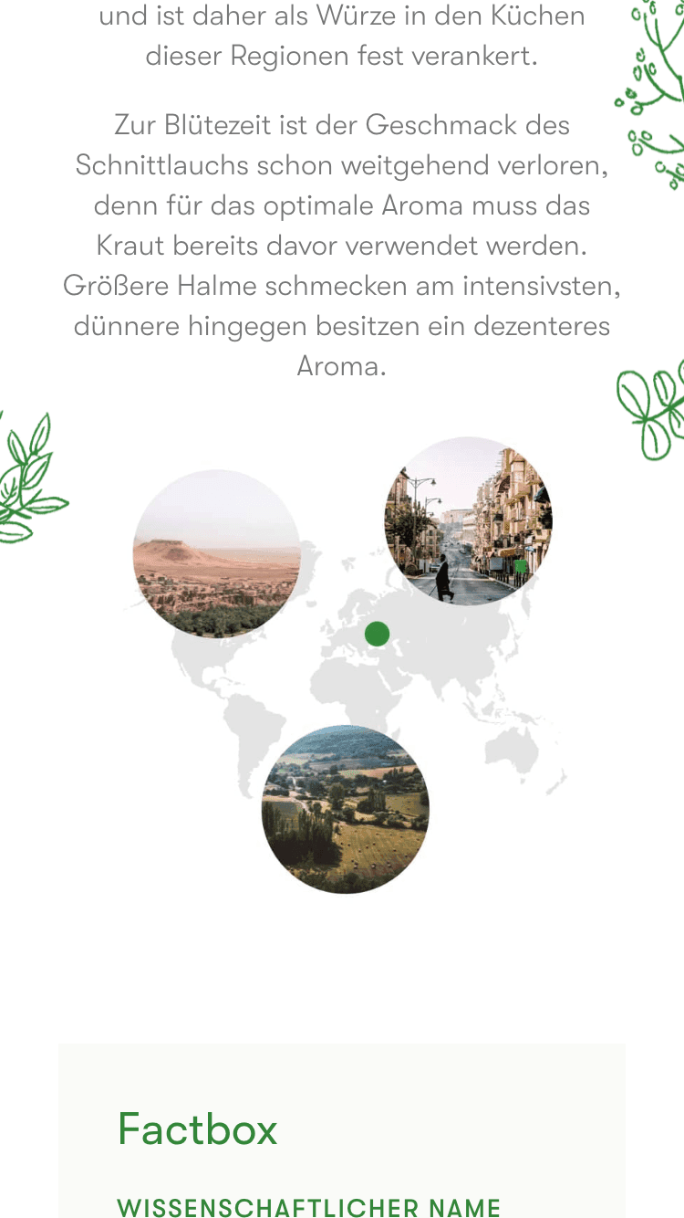 kotanyi-discover-chives-3-edit