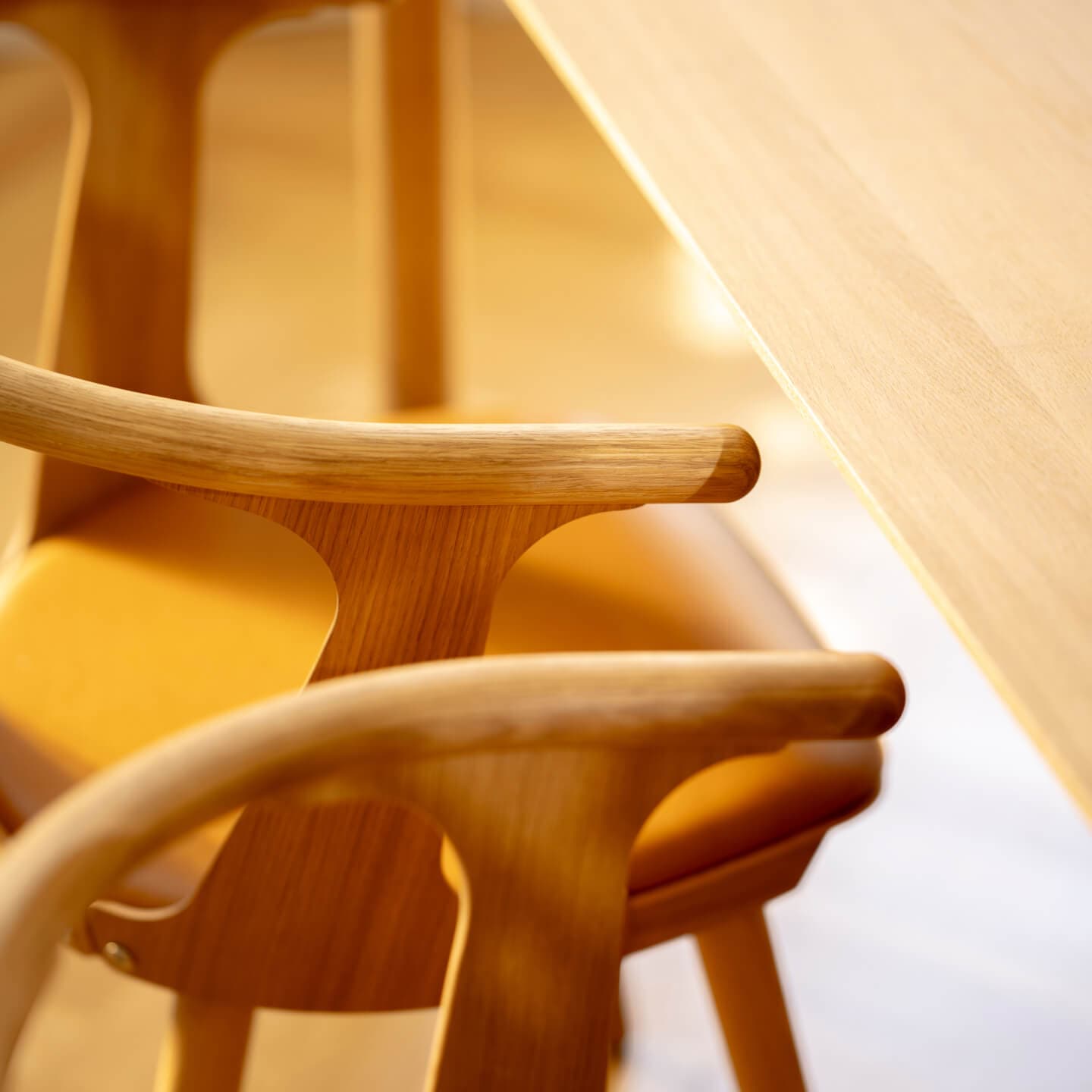 Stühle im Besprechungszimmer des Functn-Büros in Wien.