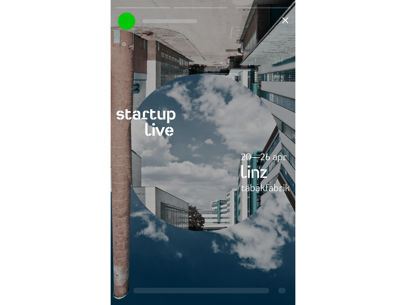Startup Live Instagram Story
