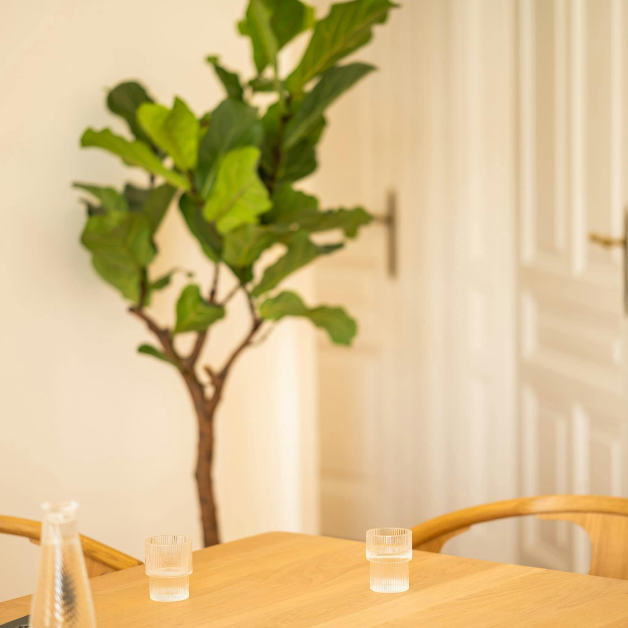 Wooden table with two glasses and a carafe as well as a potted plant in the background, in the Vienna-based digital agency Functn.